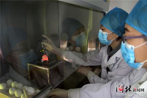 石家庄首次成功分离流感病毒（图）