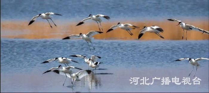微信图片_20200313084413