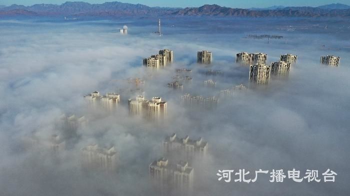 微信图片_20200310093058