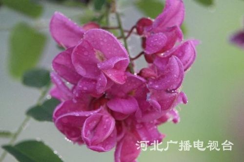 微信图片_20190510102323