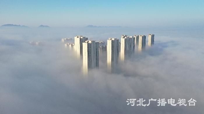 微信图片_20200310093058