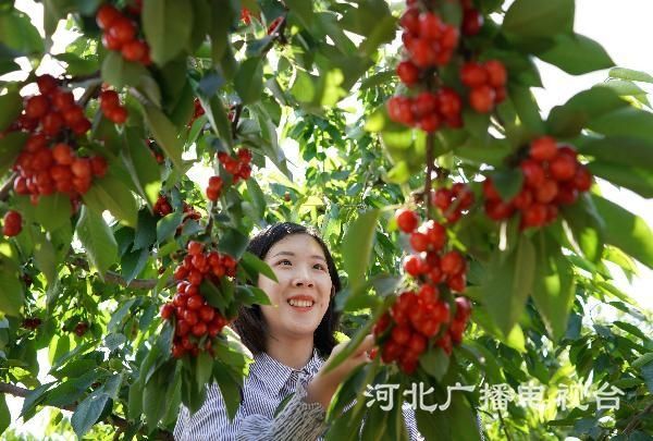 微信图片_20200521111916
