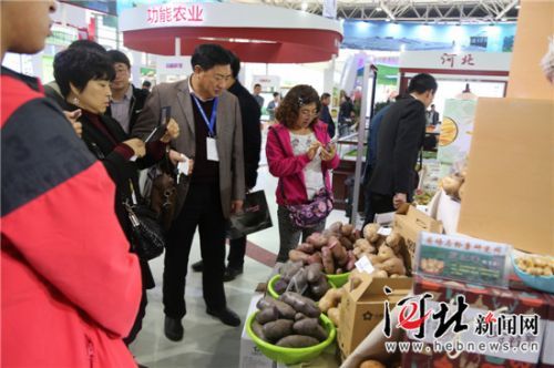 【北京连线】从量到质，增加优质绿色农产品供给