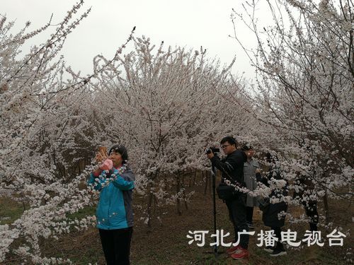 nEO_IMG_2