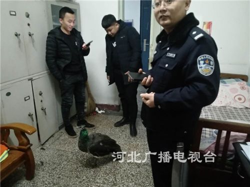 QQ图片20181221143341