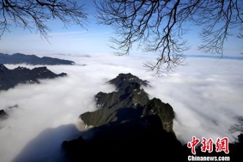 天门山国家森林公园的群峰间出现绝美云海。　刘金文　摄