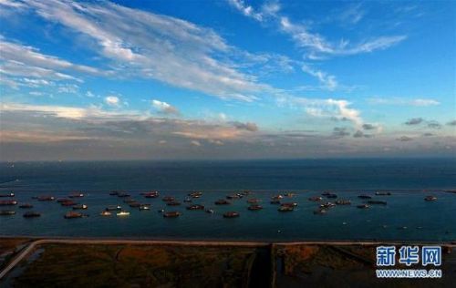 河北唐山：船舶回港防御风暴潮