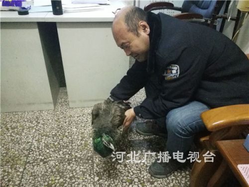 QQ图片20181221143408