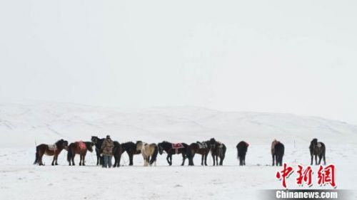 甘肃肃北县冰雪那达慕牧民骑马赛驼迎新年