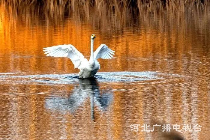 微信图片_20200313084413