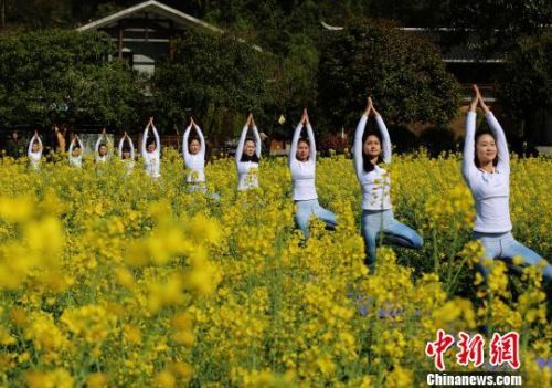 瑜伽爱好者在花丛中练瑜伽。　吴勇兵　摄