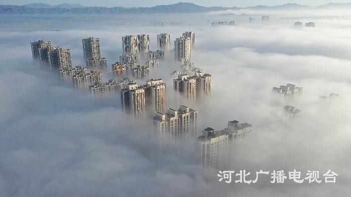 微信图片_20200310093058
