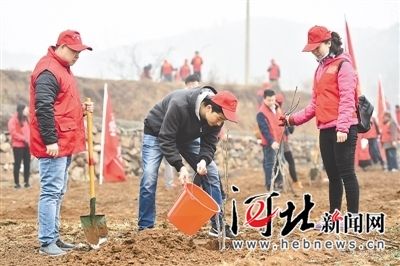 石家庄：爱心树苗进山村