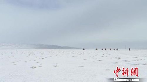 赛马为茫茫雪原带来了勃勃生机。　孟根朝力　摄