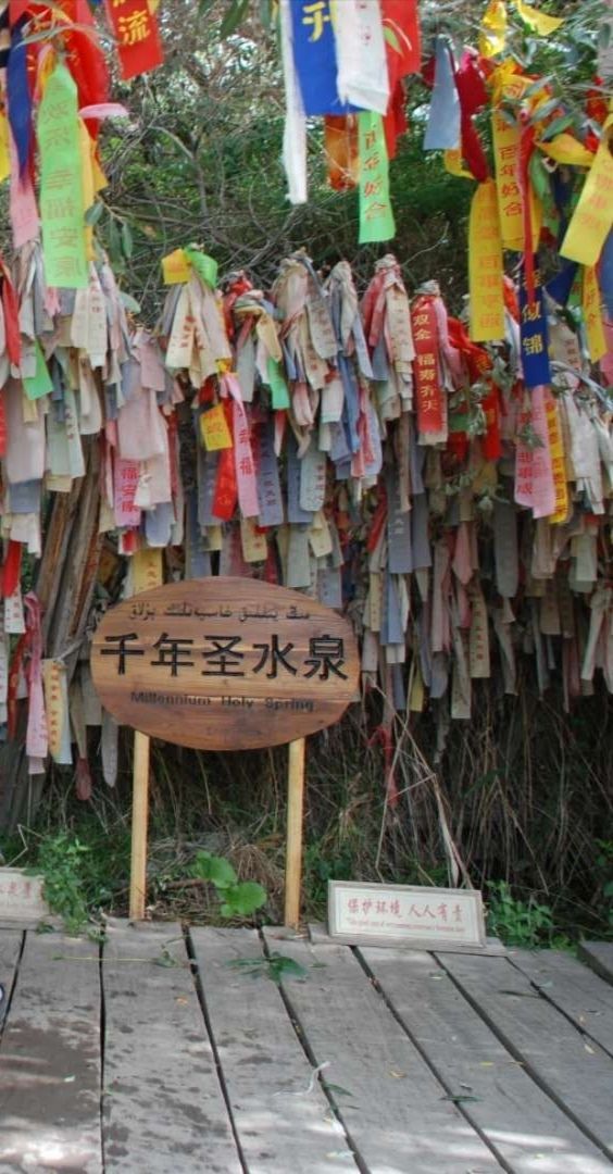【跋涉边境 亲吻祖国】65、温宿：大漠中的一叶绿洲“神木园”