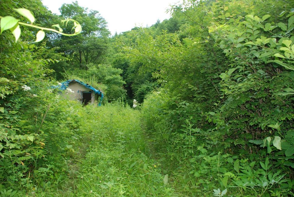 【跋涉边境亲吻祖国】38长白山天池：犹抱琵琶半遮面的火山口湖