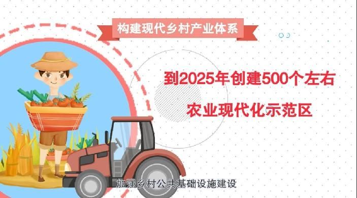 全面乡村振兴总动员！动画解读2021中央一号文件