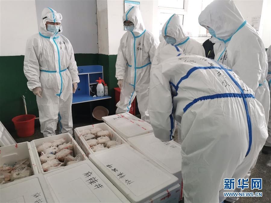 因为你们 没有一个冬天不可逾越