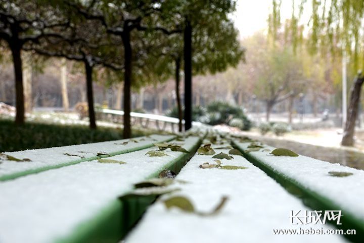 石家庄的降雪。资料图